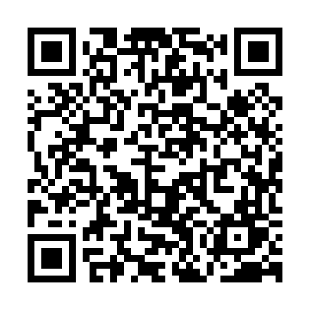 QR code for QOI06T