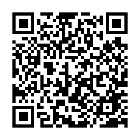 QR code for QYL60G