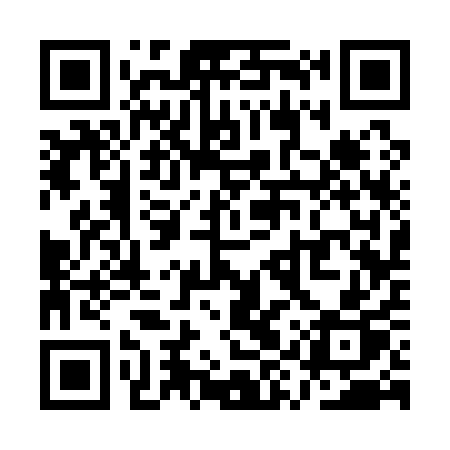 QR code for QYS11P