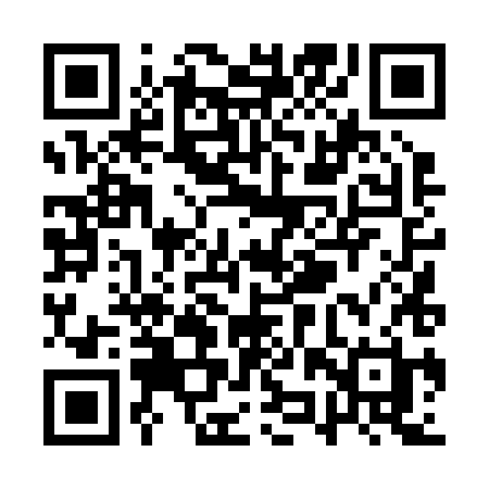 QR code for QZT28H