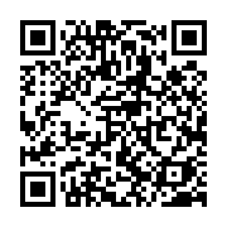 QR code for QZT53I