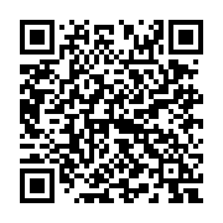 QR code for R11DFI
