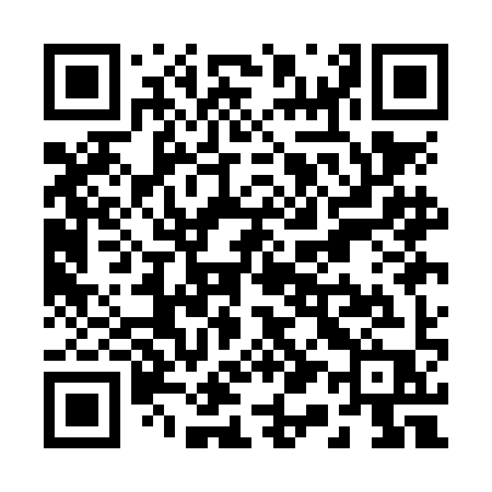 QR code for R11NIP