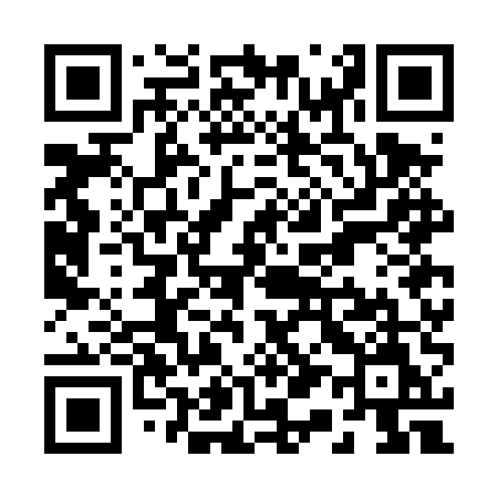 QR code for R17DUM