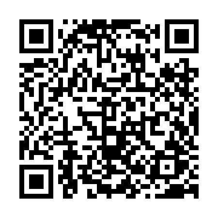 QR code for R29SJR