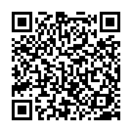 QR code for R38OZI