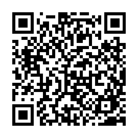 QR code for R38SIG