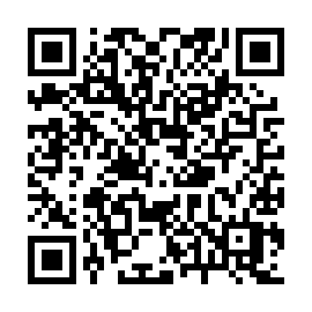 QR code for R46PYT