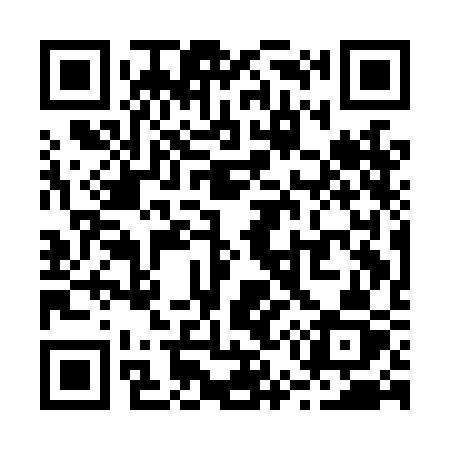QR code for R51LCZ