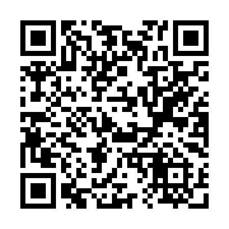 QR code for R60NYI