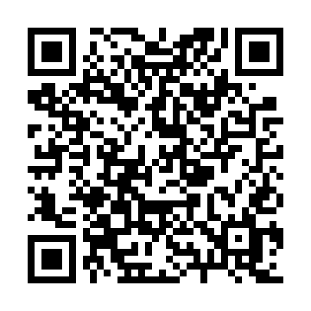 QR code for R91FUL