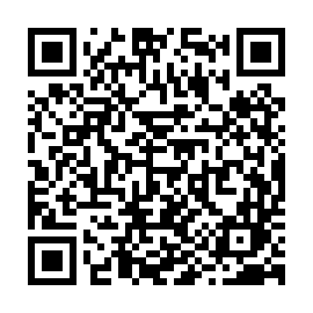 QR code for R91PTL