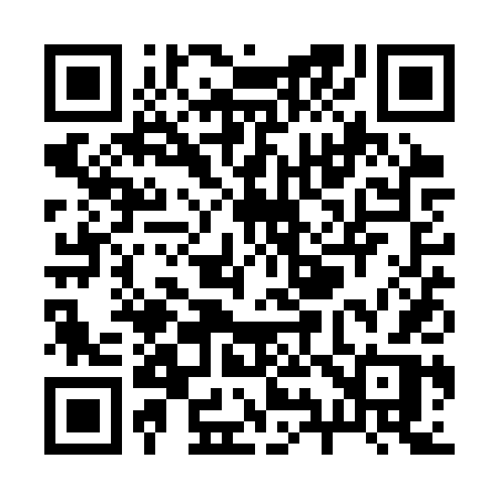 QR code for R91STR
