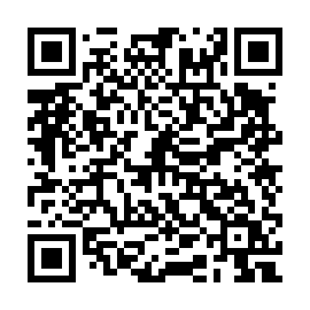 QR code for RAO41V