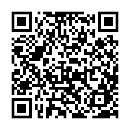 QR code for RGP29B