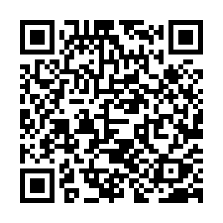 QR code for RIL81Y
