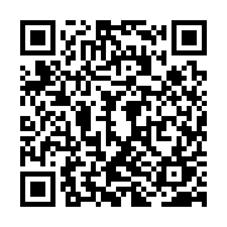 QR code for RLI31T