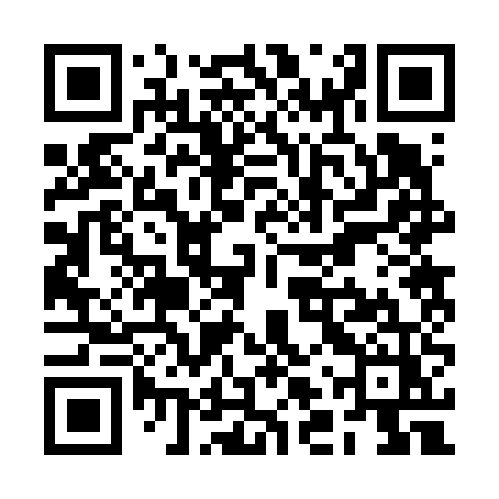 QR code for RLR65Z