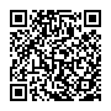QR code for RNS48I