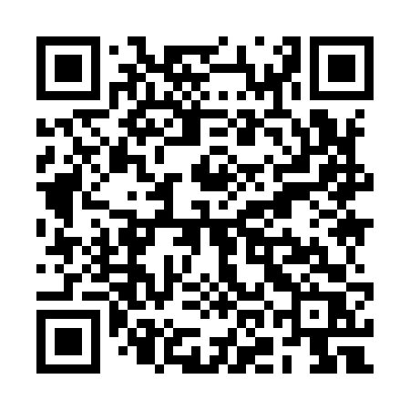 QR code for ROI96R