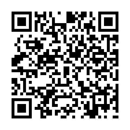 QR code for ROK99Z