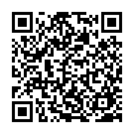 QR code for ROM29G