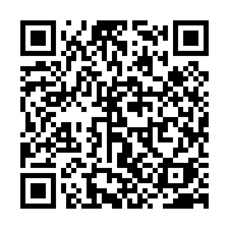 QR code for RSI03I