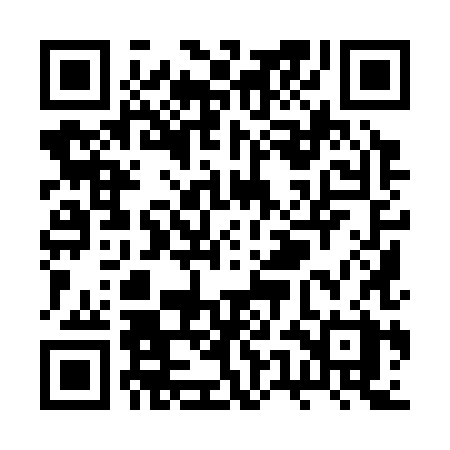 QR code for RUI38X