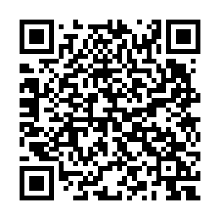 QR code for RYS66G