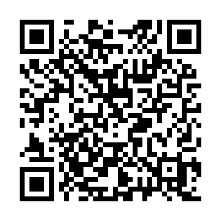 QR code for S20IQI