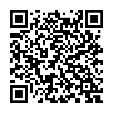 QR code for S91ARM