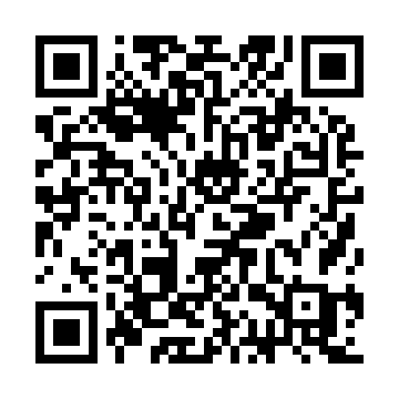 QR code for SAP96C