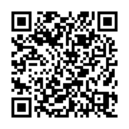 QR code for SAP96Q