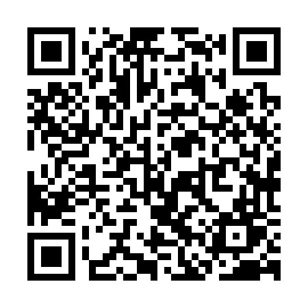 QR code for SFX36T