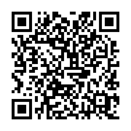 QR code for SGD29E