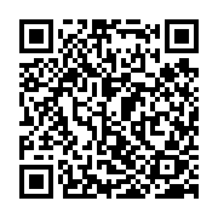QR code for SII61Z