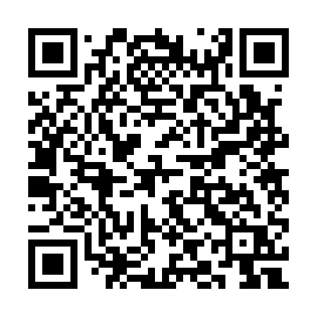 QR code for SIR11R