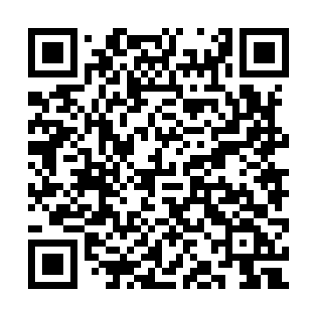 QR code for SJN96F