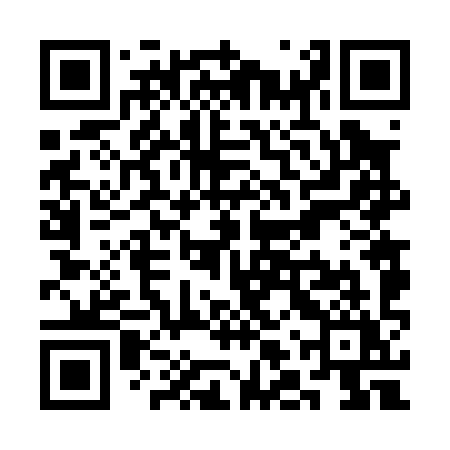 QR code for SLV09Y