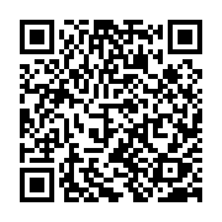 QR code for SNF11X