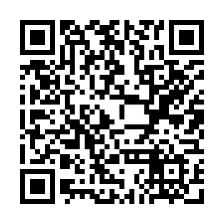 QR code for SNL96L