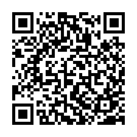 QR code for SRI20T