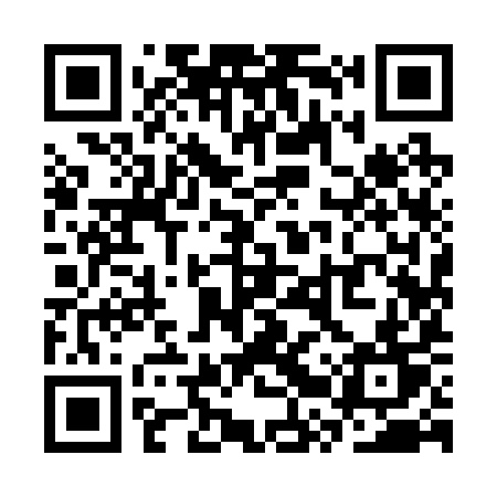 QR code for SRY29T