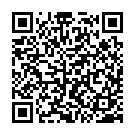 QR code for SSR31S