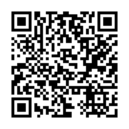 QR code for SYP96G