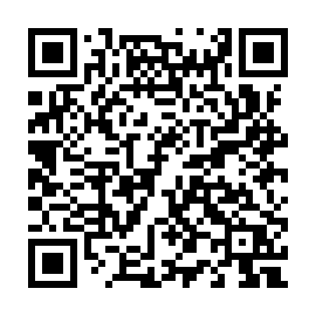 QR code for T01IPP