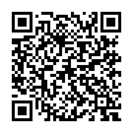 QR code for T11HJI