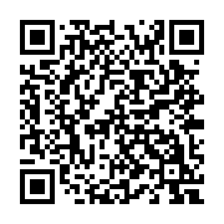QR code for T11PYO