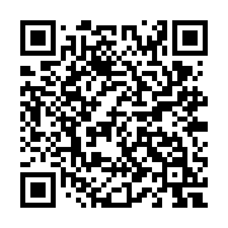 QR code for T11VAN