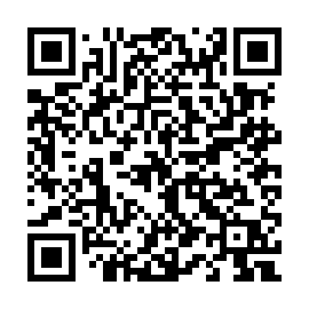 QR code for T12MAP